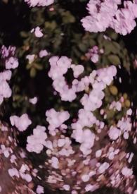 西沉寂静地 (校园 )作者骨跃Txt笔趣阁